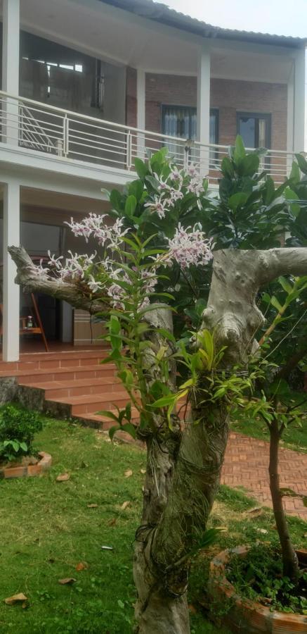 Linkin House Villa Phu Quoc Buitenkant foto